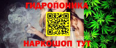 индика Тара