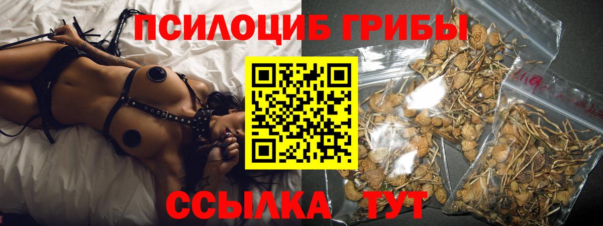 Псилоцибиновые грибы Magic Shrooms Арсеньев